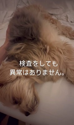 あまりに悲惨な姿に涙…