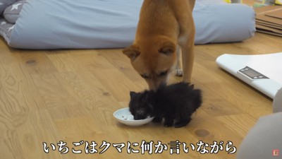 「いっぱい食べるんだよ」