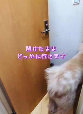突然飽きるところも可愛い♡
