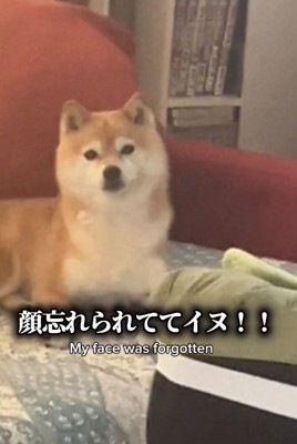 アップのこまりちゃん