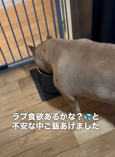 母を亡くした翌日…