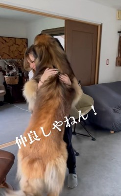 お姉さんに抱きつくレオンベルガー