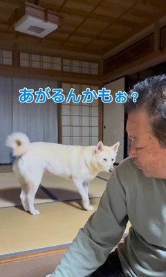 きなこちゃんとおじいちゃんのやり取り5