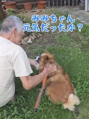 おじいちゃんに撫でられる犬
