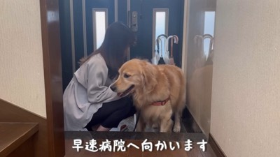 やっとリード装着♪