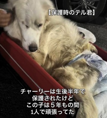 保護時