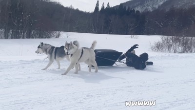 回転しちゃった！