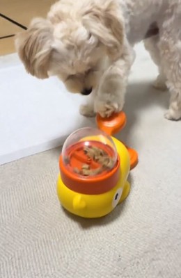 レバーを押すココくん