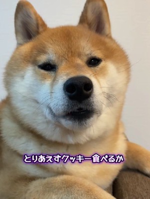 おやつを提案すると？