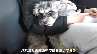 パパとのお別れに絶望するティノちゃん7