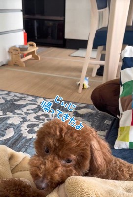 まさかの塩対応