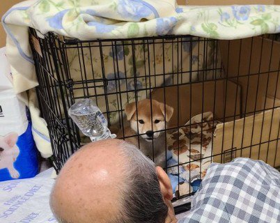 家族に迎えて3日目…