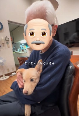 抱っこしてもらう犬