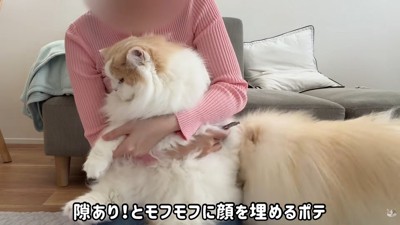 「隙あり！」と猫吸い♡