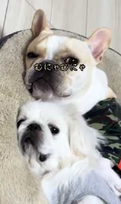 これからも仲良く幸せでね