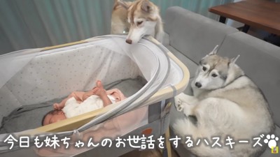 不審者が家に侵入！？