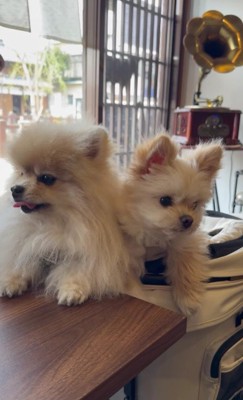 「元気になってよかった!」