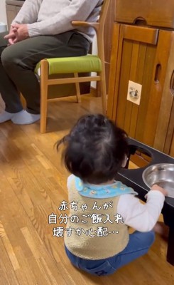 ご飯入れで遊ぶ赤ちゃん