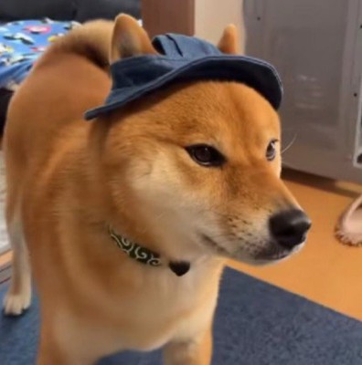 サイズが小さすぎる!!