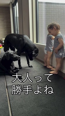 笑顔で犬を見つめる赤ちゃん