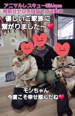 新しい犬生が始まったよ！！