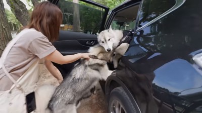 お友達ワンコと再会するフィンくん