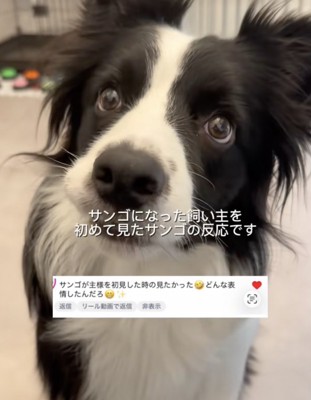 反応はいかに？
