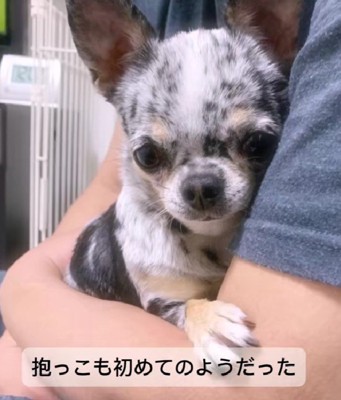 抱っこも慣れていない…