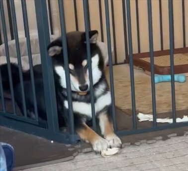 サークル