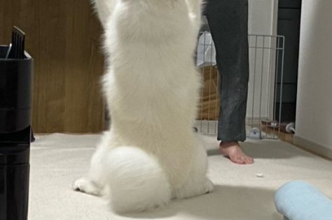 目の前