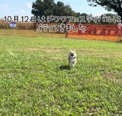 幸せそうな笑顔に涙…