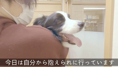 パパ助けて