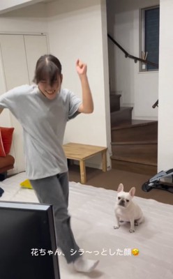 ダンスする高校生と見つめる小型犬