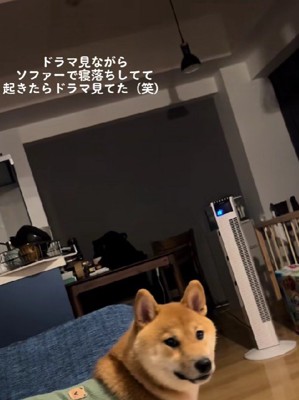 声をかけてみると…