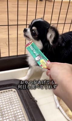 おやつも食べない