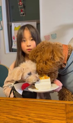 モンくんのお誕生日会8