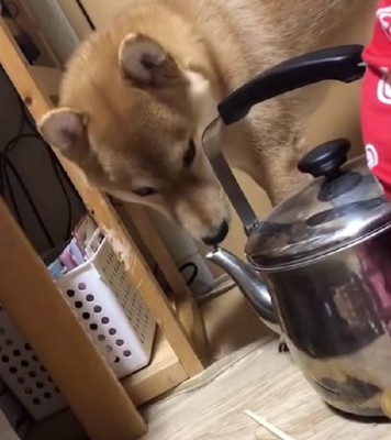 溜めて溜めて解放！？