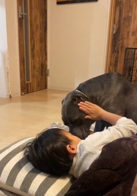 ハルクくんを触る息子さん