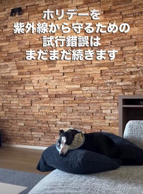 優しさと努力が詰まったマスク