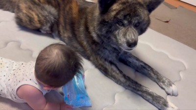 ちょっぴり気まずそう