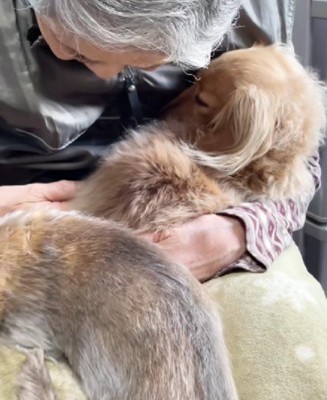 みんなの愛の象徴なのでした!