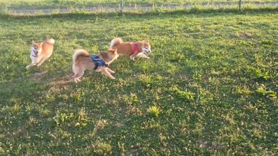 これからも幸せにね！！