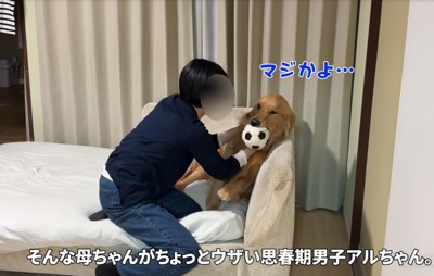 抱きしめられる犬