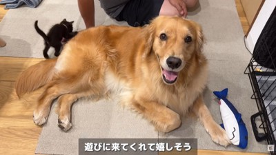 「仲良くなれたかも!!」
