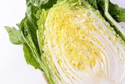 新鮮な白菜