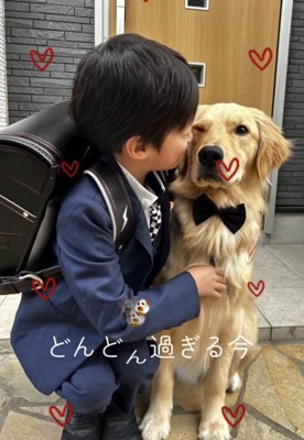 犬の頬にキスする人