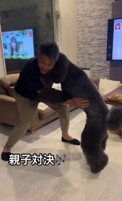 本当のお相撲さんのよう