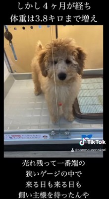 3万円という破格に…