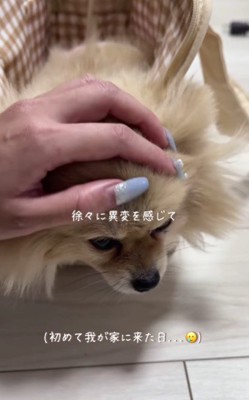 なにかがおかしい…