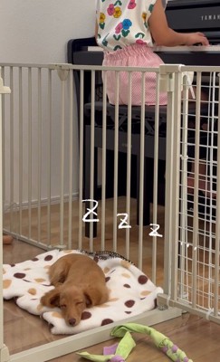いい夢を見られそう♡